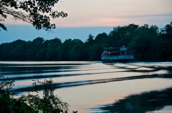 Webinar voor gezonde, duurzame scholen en campussen – The Green Dandelion