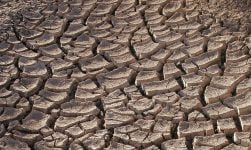 Er wordt droogte voorspeld